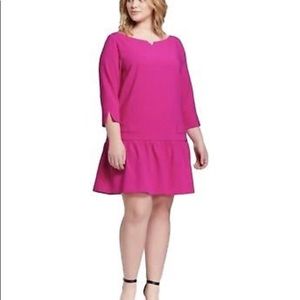 Victoria BeckhamxTarget Jacquard Drop Waist Dress